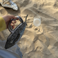 Fish Bag